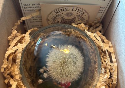 Nine Lives Whimsy Jars