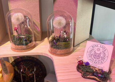 Nine Lives Whimsy Jars