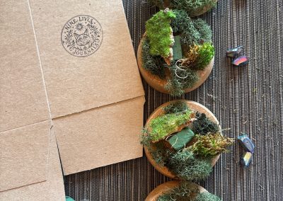 Nine Lives Whimsy Jars