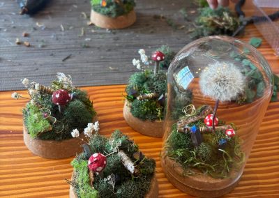 Nine Lives Whimsy Jars